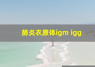 肺炎衣原体igm igg